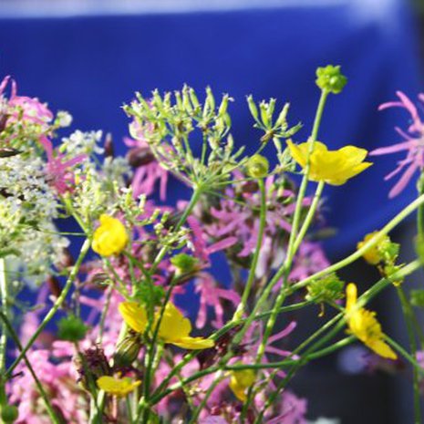 Onni kestää ehkä vain hetken, mutta on sitäkin kauniimpi.