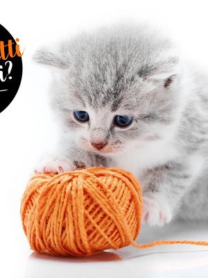 Ei tullut takkia, tuli lapaset. Ehkä.