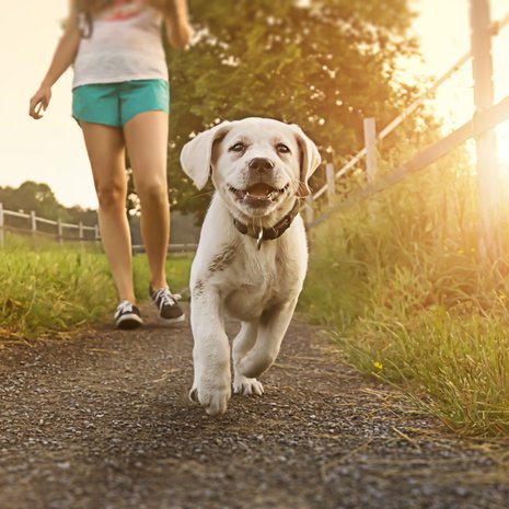 Vaikka kävelisit kuinka alakuloisena, liike auttaa. 