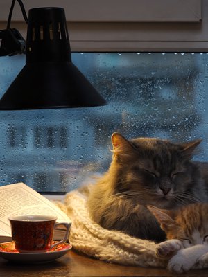 Introvertti latautuu parhaiten omissa oloissaan. Se ei tarkoita, ettei hän nauttisi muiden seurasta.