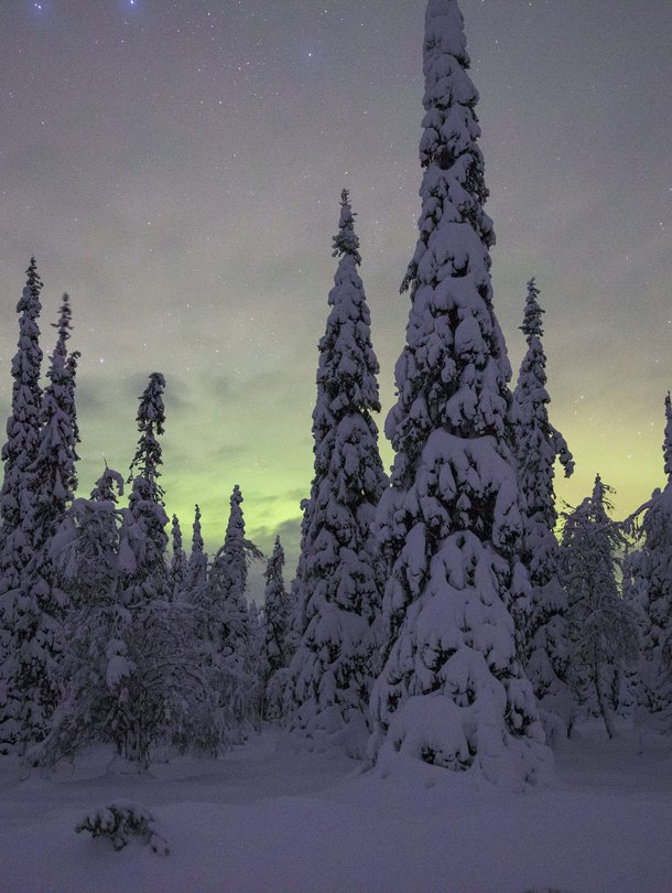 Kun asuu ulkomailla, saattaa alkaa kaivata pimeitä talviaamuja ja lumen tuoksua.