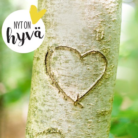 Kannattaa olla pikkuisen hörhö. Se voi tehdä elämästä iloisempaa.