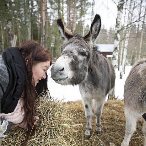 Aasit Uffe ja Molly ovat nykyään Sarin työkavereita sipoolaisella Hevonpellon tilalla, jota Sari pyörittää miehensä Marcuksen kanssa. Pihapiirissä Sari pitää myös uutta putiikkia. Konkurssin jälkeen hän kouluttautui myös yritysneuvojaksi, koska haluaa auttaa kohtalotovereitaan.