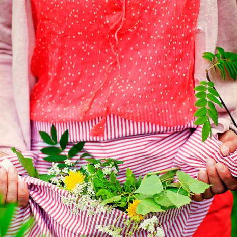 Koivu vahvistaa hiuspohjaa, vokukka rentouttaa lihaksia, minttu elvyttää jalkoja.