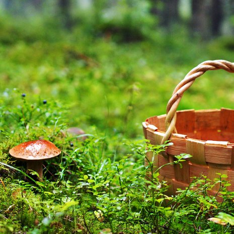 Metsästäjän vietit heräävät syksyllä. Kohteet ovat pieniä ja matalia.