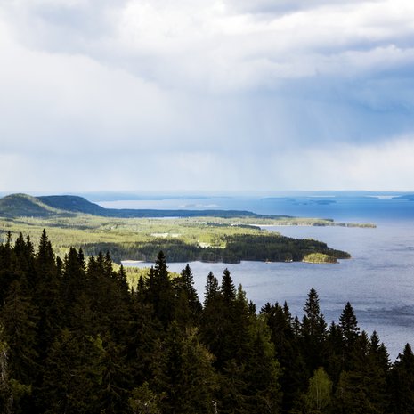 Näkymä Kolilta. Suomen puhdas luonto oli monen vastaajan kiitollisuudenaihe.