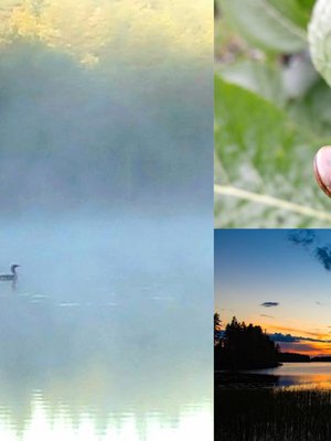 Elokuussa kesä on täysi ja illat hämärtyvät. Tunnelma on usein mystinen.
