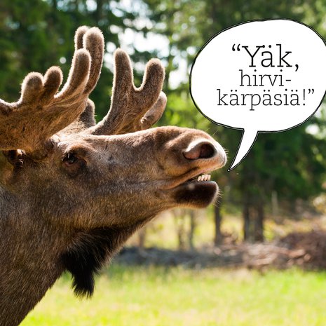 Aika monia meistä luullaan hirviksi.