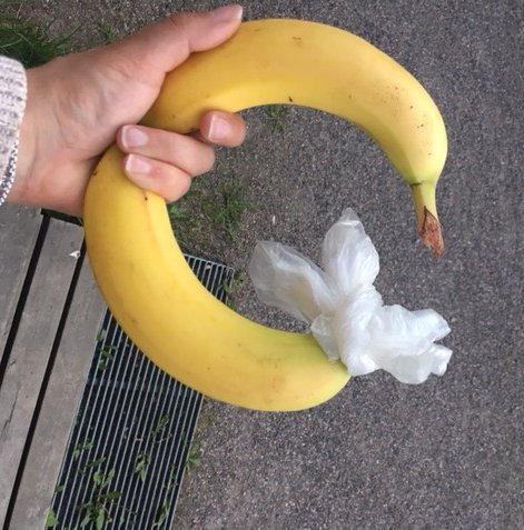 PÄIVÄ 1, ostopäivä: Kaksi yhtä kypsää banaania, toisen tyveen hedelmäpussi.
