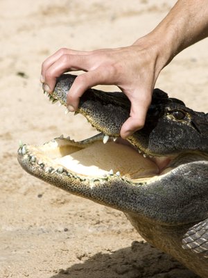 Tällaisia ovat työpaikkakiusaajat ja näin selviät heistä