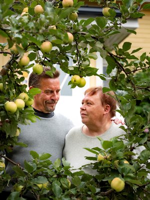 Paras puutarhailo on jaettu puutarhailo, Riitta-Maija ja Matti ajattelevat. Jos toinen huomaa toukokuisessa puutarhassa ensimmäisen keltavuokon ja toinen ei ole paikalla, asiasta lähetetään toiselle viesti: nyt näkyi.