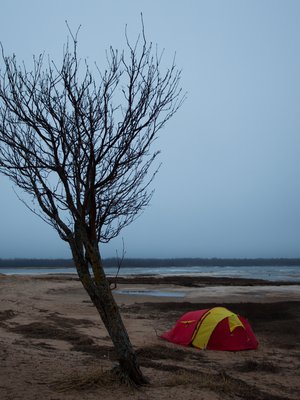 Liisa Louhela valokuvaa työkseen. Tämä kuva on otettu 19. toukokuuta 2017 Hailuodon Pöllänlahdessa. ”Pitkän talven jälkeen kevään leudoissa säissä yöpyminen tuntui riemukkaalta. Pöllänlahdella matkaani saatteli suokukkoparvi. Viimeisten iltojen tunnelmat olivat erityisen rauhalliset ja hyvät.”