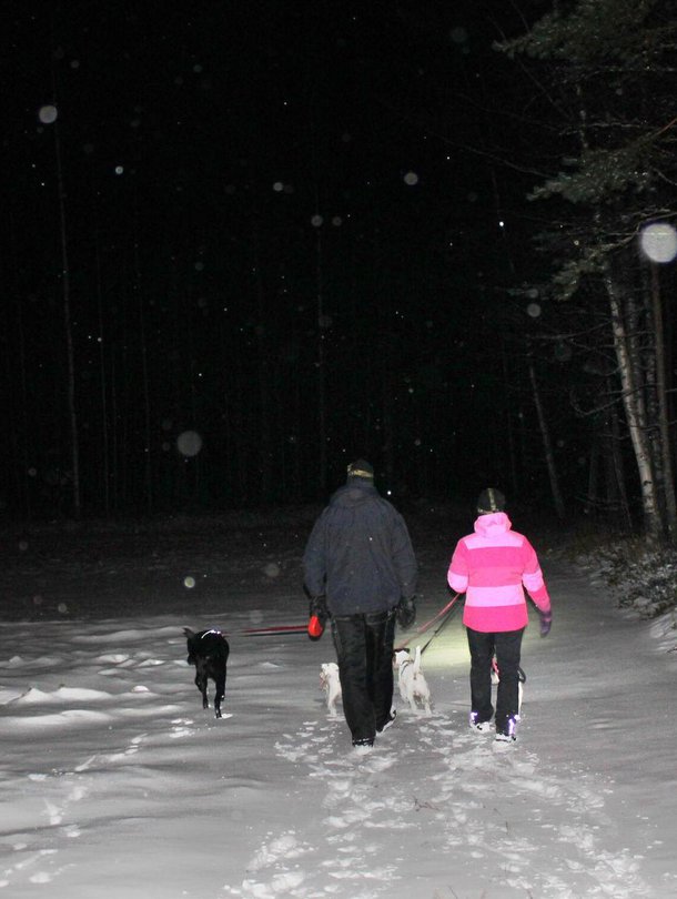 Marjan ja Pasin juttu on puhua paljon metsässä. Hiljaakin saa olla.