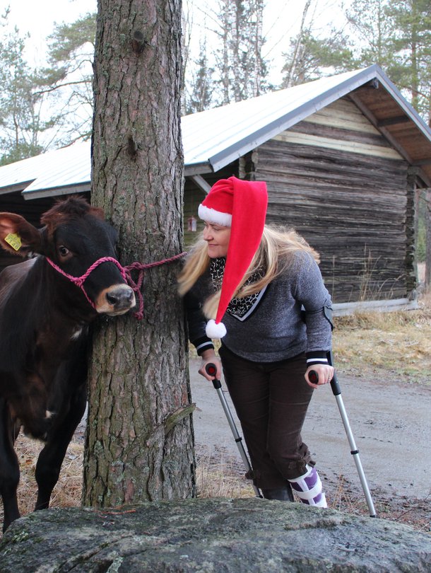Mathilda-hieho odottaa maanviljelijän vaimon kanssa joulun tuloa, emäntä jalka kipsissä.