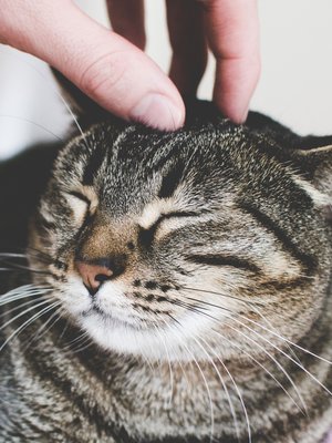 Kipu on aina yksilöllistä, jokaisella erilaista.