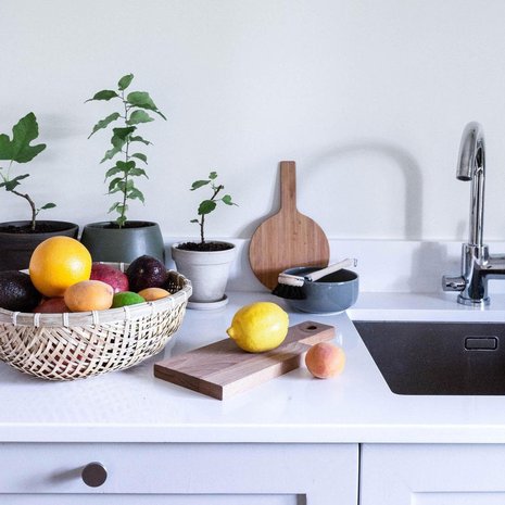 Monista hedelmistä kasvaa kelpo kasveja kotiin. Kokeilut opettavat ja onnistumiset kannustavat. Taustalla kasvavat pienet viikunat ja aprikoosi.