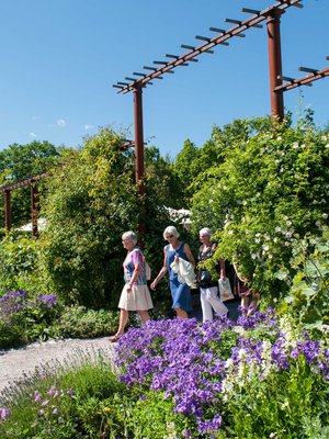 Rosendal on täynnä ruusuja ja erilaisia kukkaistutuksia.