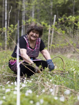 ”Ajattelin, että mitä tahansa maailmassa tapahtuukin, minulla on täällä kaikki. Luonto tarjoaa paljon syömistä, kun sen osaa hakea”, Marketta Horn sanoo.