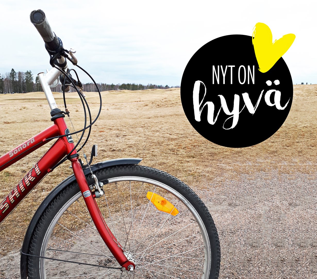 Parasta juuri nyt: uusi kevät ja vanha pyörä.