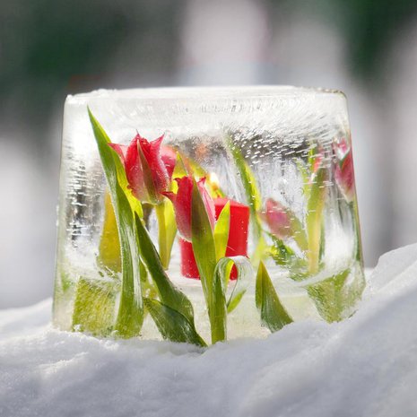 Lyhty tehdään kahden sisäkkäin laitettavan astian avulla. 