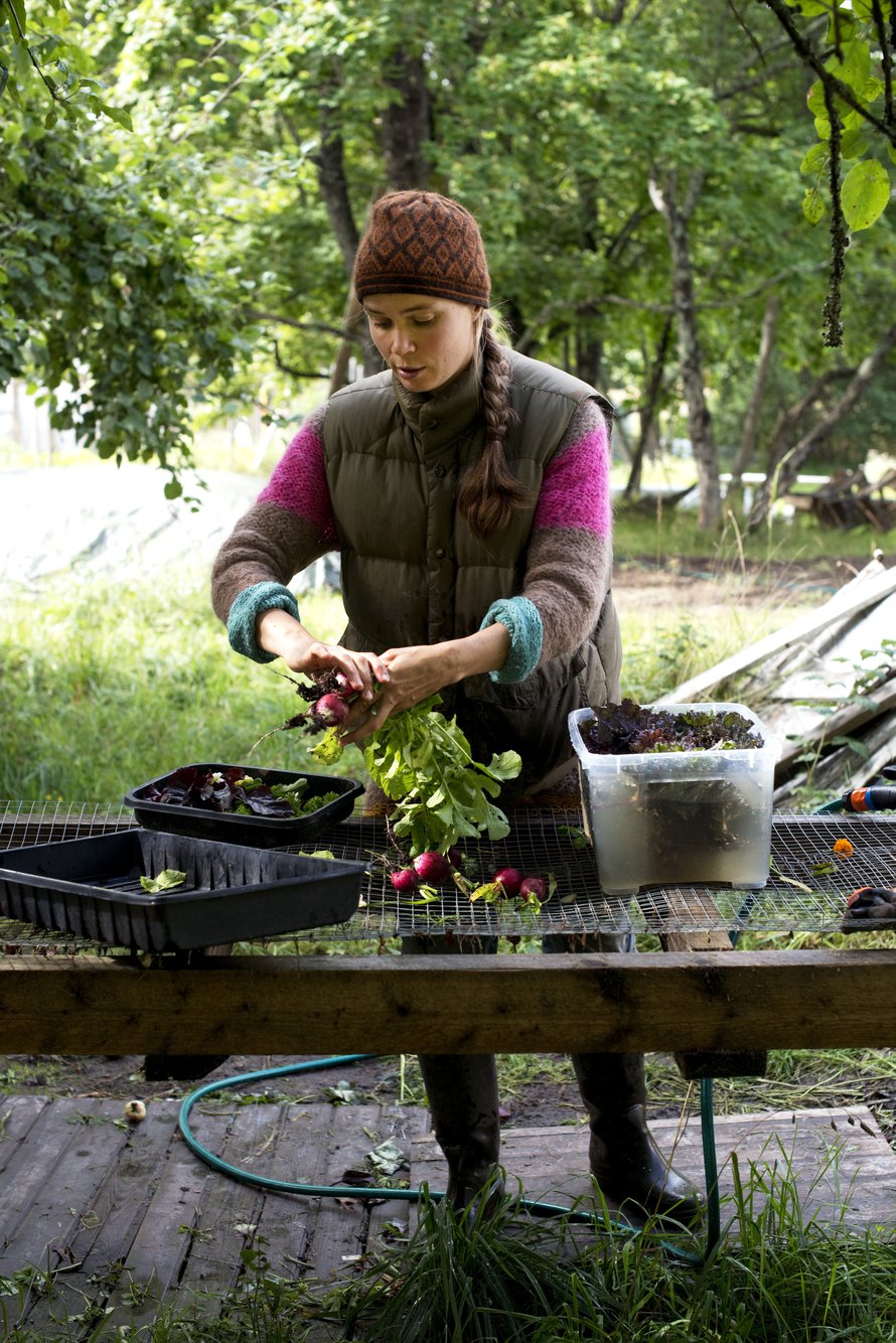 Merja Niemisen mielestä pienellä tilalla kannattaa kasvattaa lajeja, joista saa kauden aikana useamman sadon.
