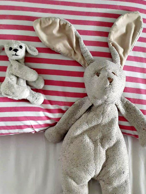 ”Pupu on kulkenut kohta 10 vuotta täyttävän mukana kaikkialla. Pupu saapui jo synnytyssairaalaan, ja on tosi rakas ja tärkeä. Koira, nimeltään Täplä, on ollut toisena unikaverina 2-vuotiaasta asti. Pupu ja koira ovat matkanneet kaikilla matkoilla ja yökyläreissuilla. Näitä ilman ei uni tule!” Kuva: <span class="photographer">Tyttö</span>