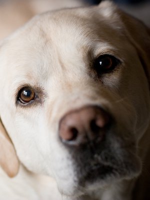 Ilman minua arkesi olisi ehkä vähän helpompaa, mutta paljon surullisempaa.