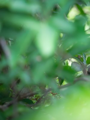 Jos et edes kerro, mitä haluat, on turha mököttää.