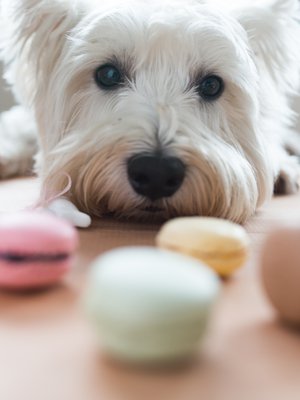 Psykoterapeutti Nina Pyykkönen haastaa vaatimisen sijaan miettimään, miten itseä voisi kohdella paremmin. Mitä tarvitsen elämääni? Mistä saan iloa?