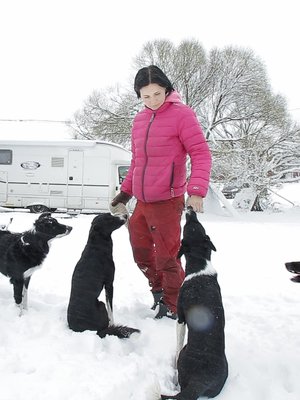Tanjan kanssa asuntoautossa asuvat hänen bordercolliensa Bingo, Kyy, Nano ja Nuka.