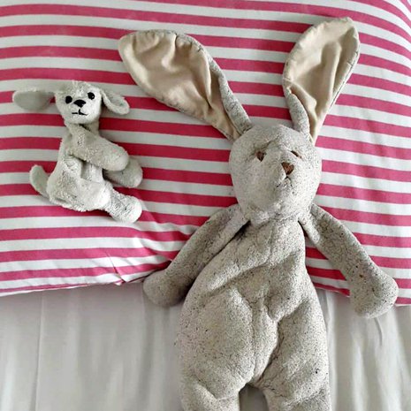 ”Pupu on kulkenut kohta 10 vuotta täyttävän mukana kaikkialla. Pupu saapui jo synnytyssairaalaan, ja on tosi rakas ja tärkeä. Koira, nimeltään Täplä, on ollut toisena unikaverina 2-vuotiaasta asti. Pupu ja koira ovat matkanneet kaikilla matkoilla ja yökyläreissuilla. Näitä ilman ei uni tule!” Kuva: <span class="photographer">Tyttö</span>