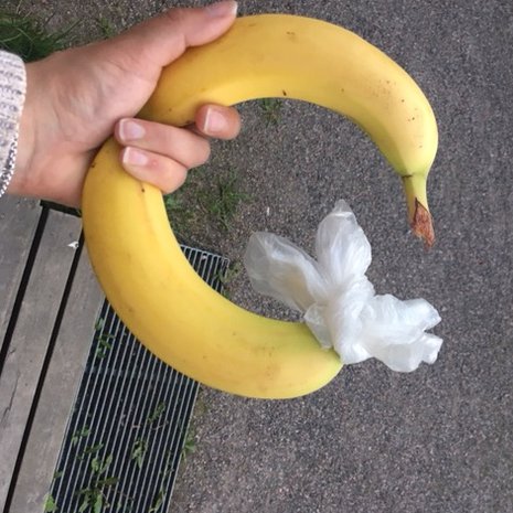 Tästä se lähtee! Uteliaisuus voitti, banaanitesti selvitti.