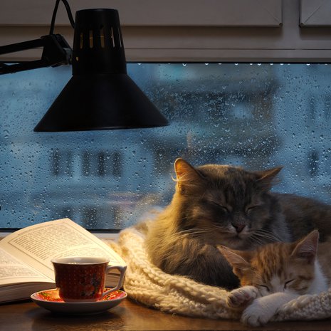 Introvertti latautuu parhaiten omissa oloissaan. Se ei tarkoita, ettei hän nauttisi muiden seurasta.