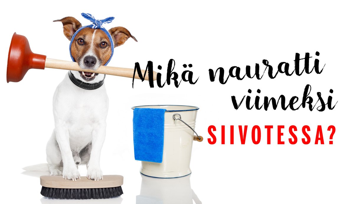 Naurettavaa puuhaa tuo siivoaminen!
