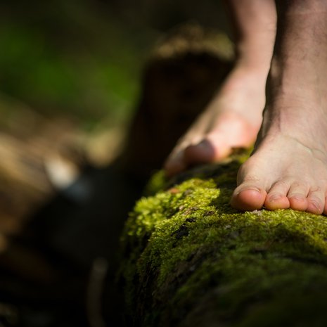 Sammal on pehmeää jalan alla – ja nurmikon leikkaamiseltakin säästyy!