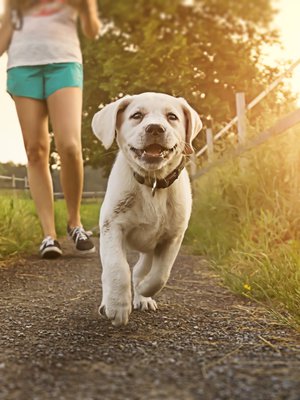 Vaikka kävelisit kuinka alakuloisena, liike auttaa. 