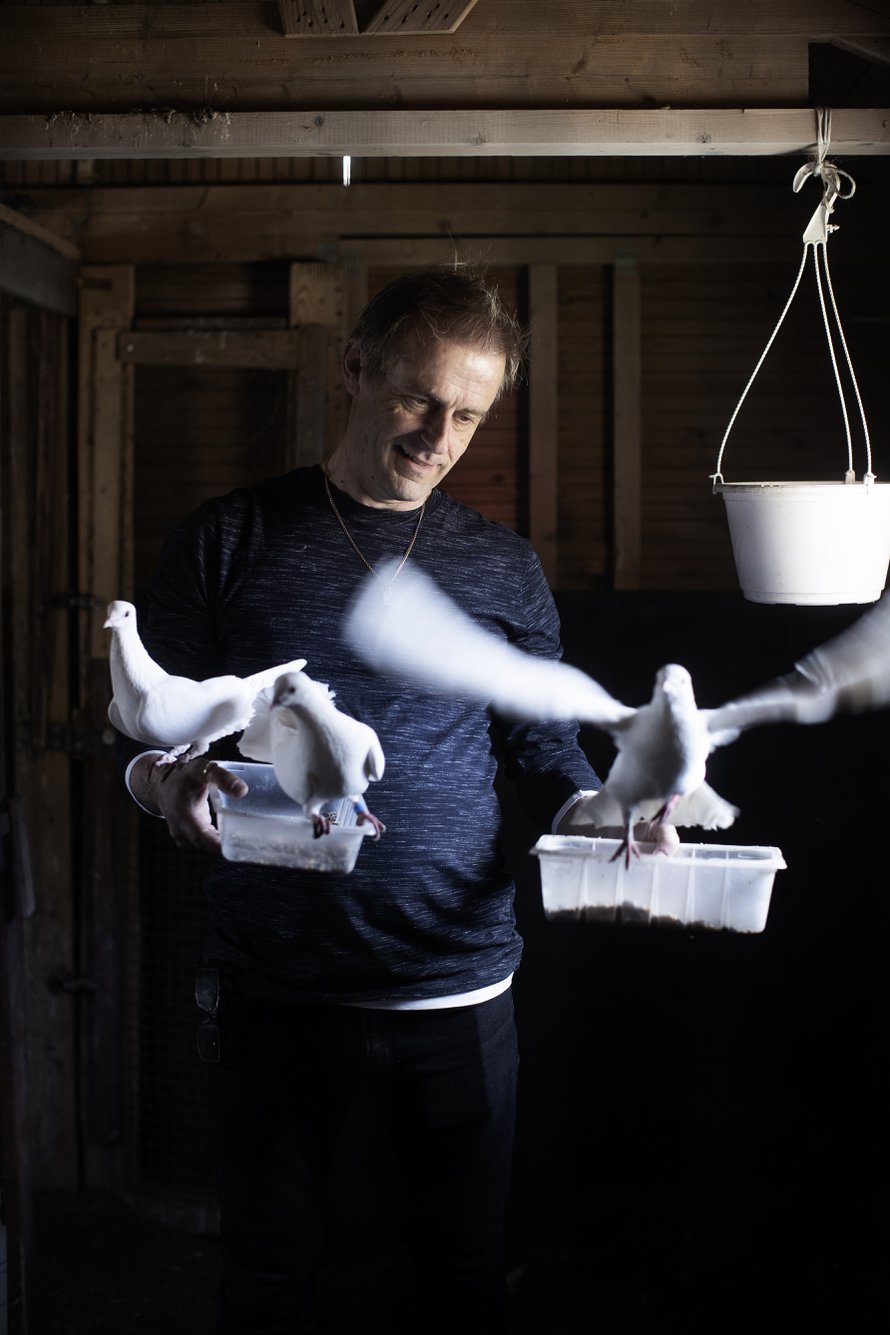 Kailla riittää kotonakin töitä eläinten hoitamisessa. Hän saattaa myös kokeilla niiden kanssa koulutusideoitaan. Piharakennuksen kyyhkyset ovat tottuneet Kain läsnäoloon.