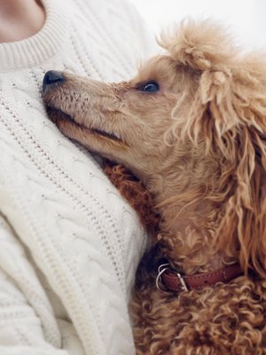 Pieni ja hento ote, ihmisestä kiinni.  Aivan sama tunne kuin koskettava tuuli. Pieni ja hento ote, siinä kaikki.