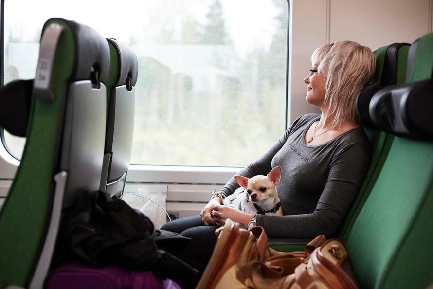 "Viime viikolla pääsin studiolle tekemään omaa musiikkiani. Sain tehdä just sitä, mitä haluan, en sitä mitä muut sanovat. Oli niin onnellinen olo, ettei mitään rajaa. Pian saan ulos kolme biisiäni. Tyylilajini on dance pop. Haaveilen, että musiikista tulisi työni." Riina Koskinen, 28, lauluntekijä, Helsinki