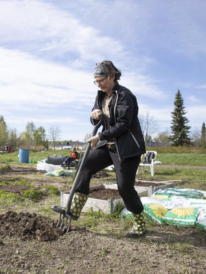"Ja tosta se alkaa!" Olo on melkein kuin Täällä pohjantähden alla -kirjojen Jussilla, kun kuokka... tai siis talikko iskeytyy keväällä ensimmäisen kerran saviseen maahan.