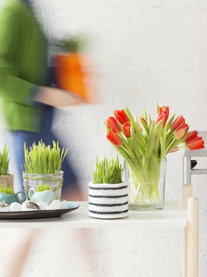 Komeaa ja tukevan näköistä pääsiäisruohoa saa myös vaihtamalla tutun rairuohon vaikkapa ohraan tai vehnään.