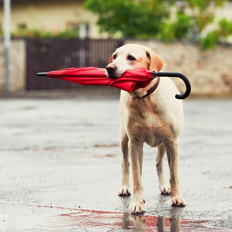 ”Vaikeista elämänmuutoksista selviytymistä auttaa maanläheinen elämänasenne”, psykoterapeutti ja työnohjaaja Pirjo Timperi muistuttaa..