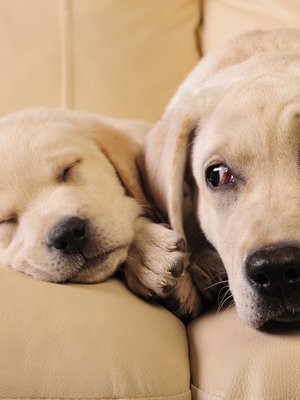 Älä huoli äiti, pärjään kyllä. Kasvatit minusta aika vahvan ja taitavan.