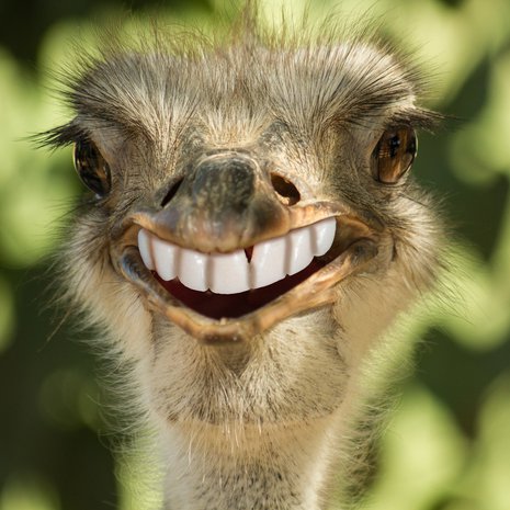 Ennen valkaisua on hyvä käydä hammastarkastuksessa. 