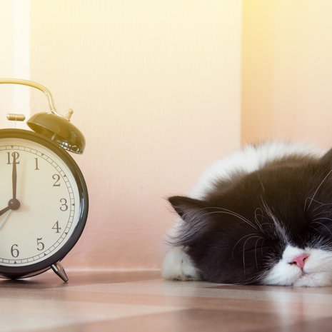 Arki on, no, arkea. Se ei ole aina kivaa. Se on usein kiireistä ja yhtä usein aika tylsää. Mutta se voi olla myös aika ihanaa, kun pysähtyy hetkeksi miettimään.