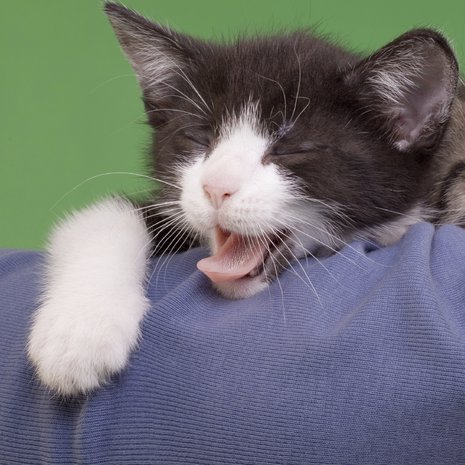 Turha tuntea syyllisyyttä siitä, jos nukuttaa!