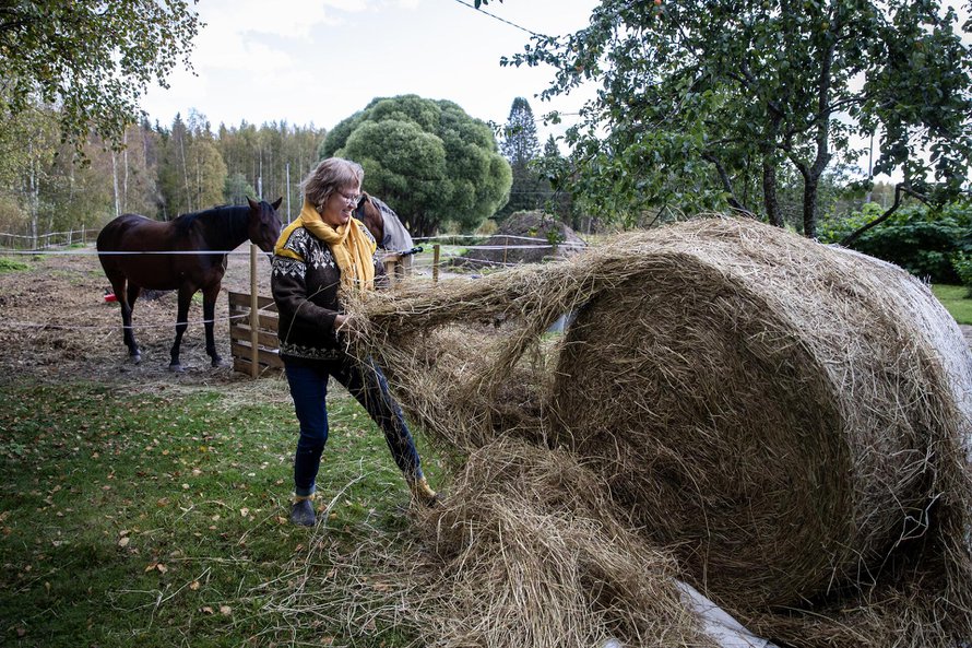 "Tutkimuksista tiedetään, että eläimen läsnäolo laskee verenpainetta ja jopa sykettä. Huomaan tämän itsekin hevosten kanssa", Päivi sanoo.