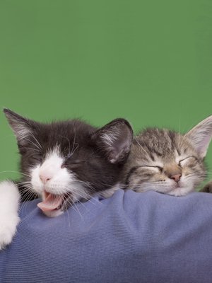 Turha tuntea syyllisyyttä siitä, jos nukuttaa!