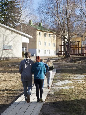 Anna Tapion kouluun ei ole erityisiä pääsyvaatimuksia. Kuka tahansa yläkouluikäinen voi hakea tänne opiskelemaan.