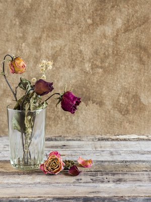 Kommunikaatiovaikeudet ovat yleisin syy eroon.